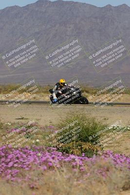 media/Feb-04-2023-SoCal Trackdays (Sat) [[8a776bf2c3]]/Turn 15 Inside Blooming (1050am)/